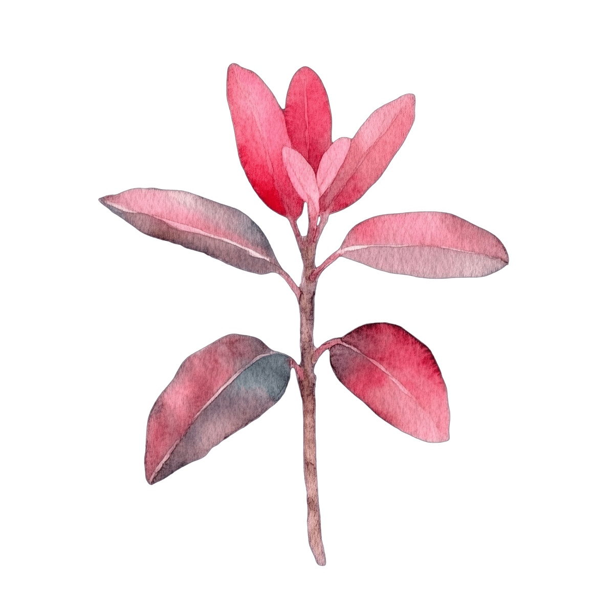 Watercolor branch with red leaves.