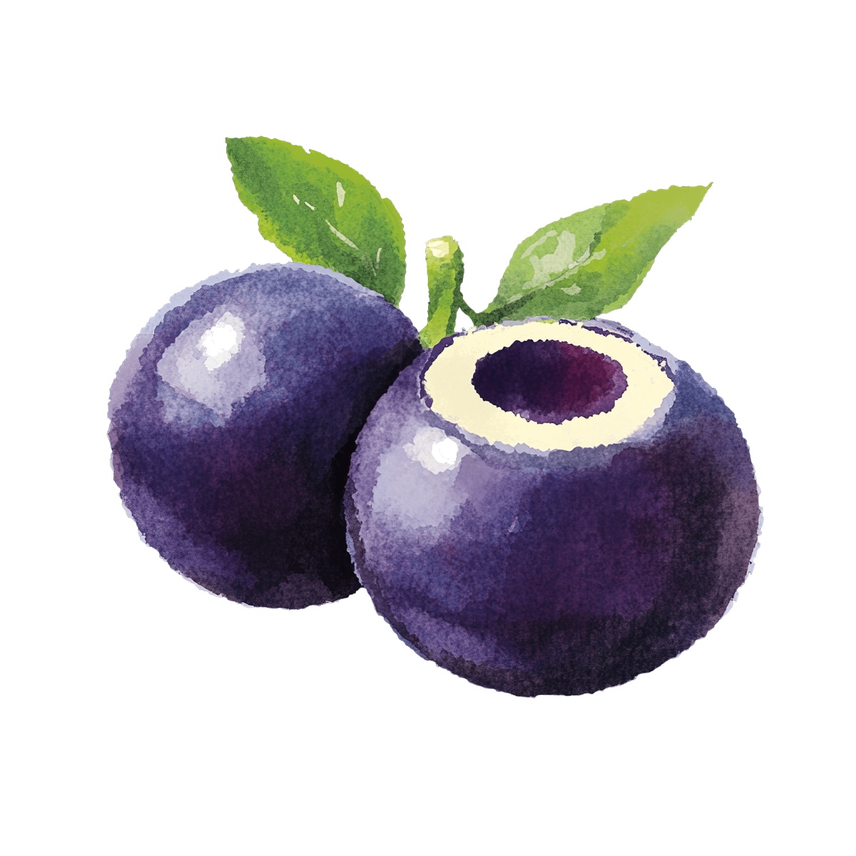 Two watercolor style blueberries with green leaves depicted in clipart form.