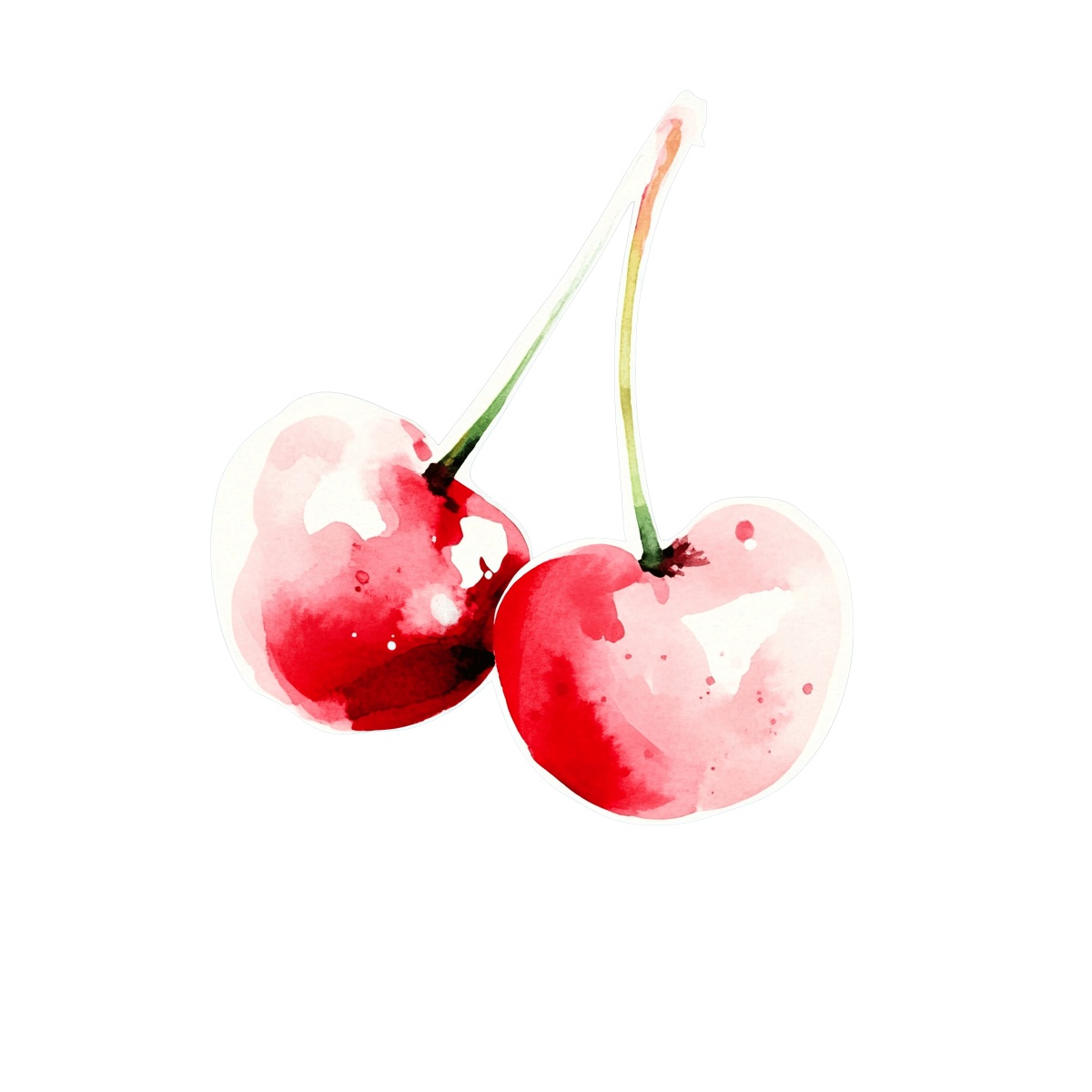 Two watercolor style red cherries with stems.
