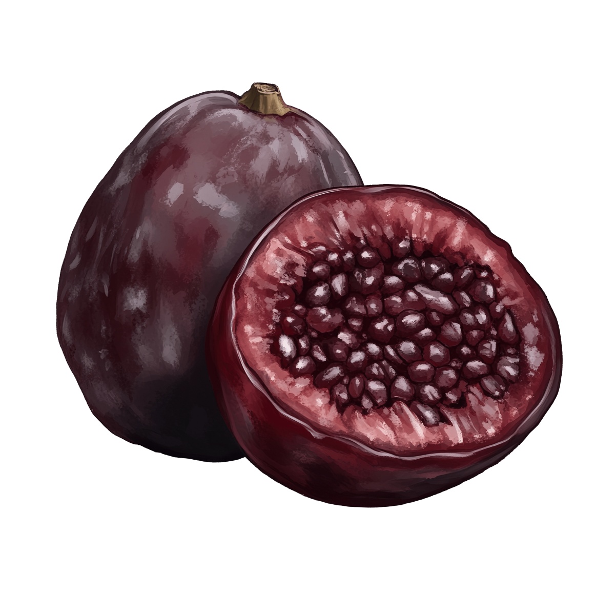 Whole and halved Medjool dates with detailed textures in clipart style.