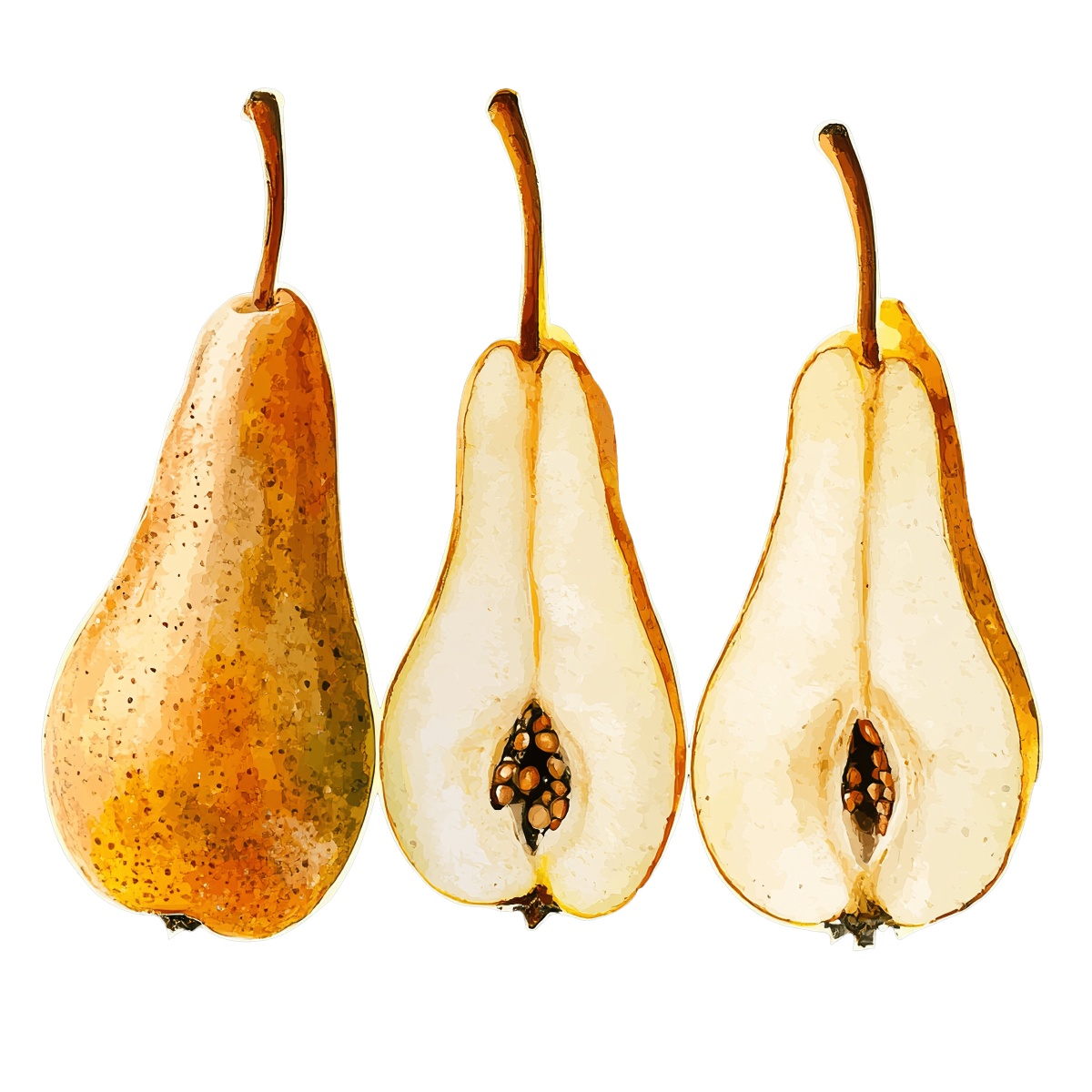 Whole pear and two sliced halves with seeds in clipart style.