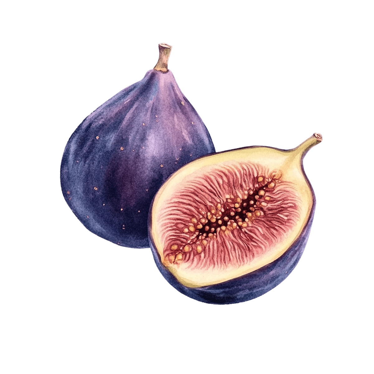 Whole and halved figs with detailed texture.