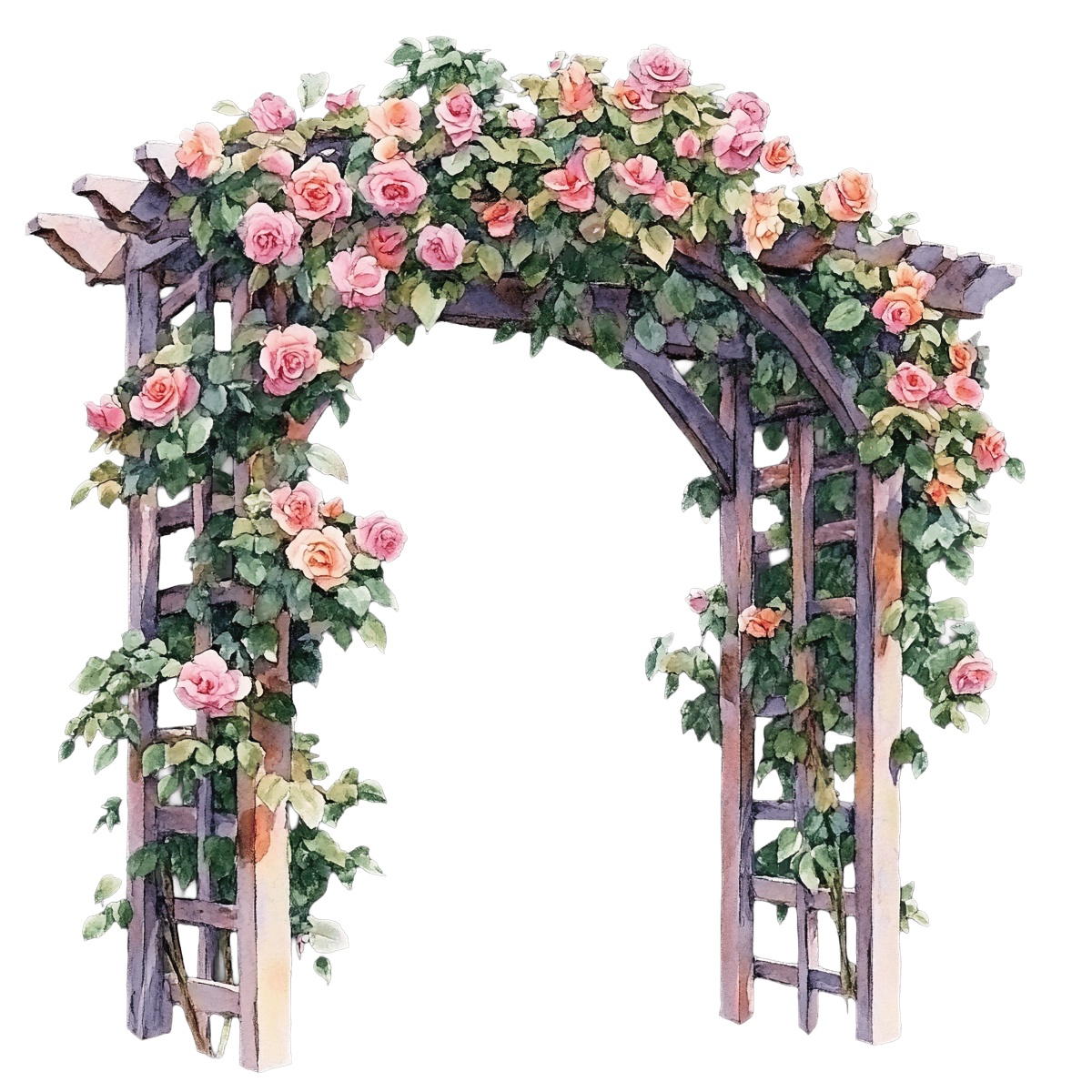 Wooden garden arbor with pink climbing roses and green leaves.