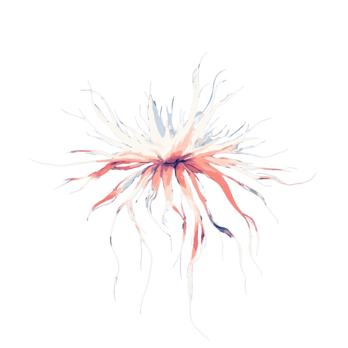 Abstract sea anemone with flowing tentacles in a marine theme.