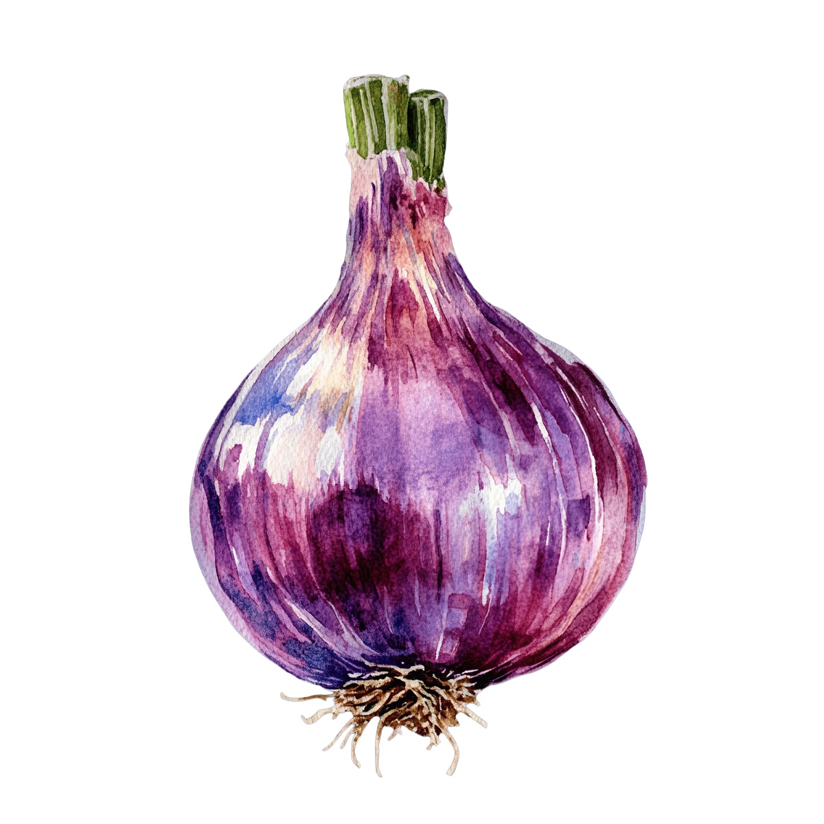 Watercolor art of a purple onion with a green stem.
