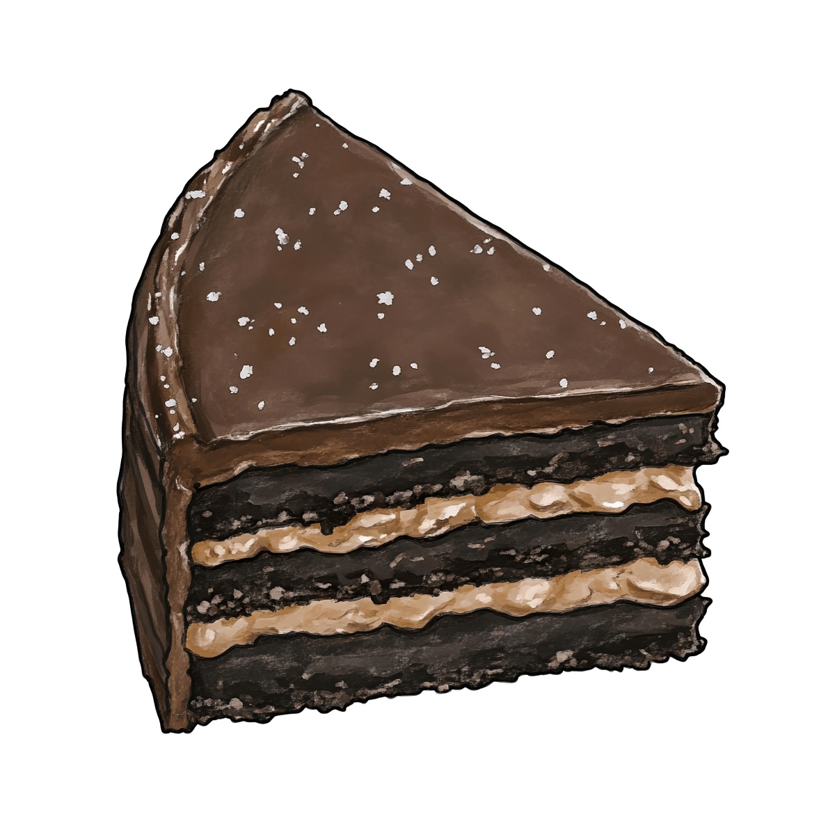 Chocolate cake slice with layers and salted chocolate topping.