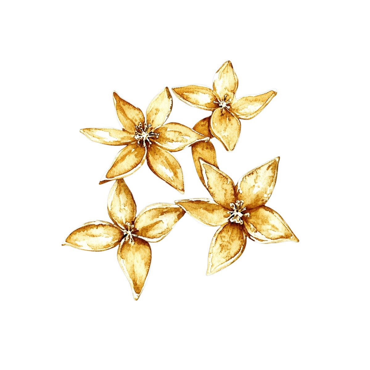 Five golden star-shaped flowers with detailed petals arranged closely.