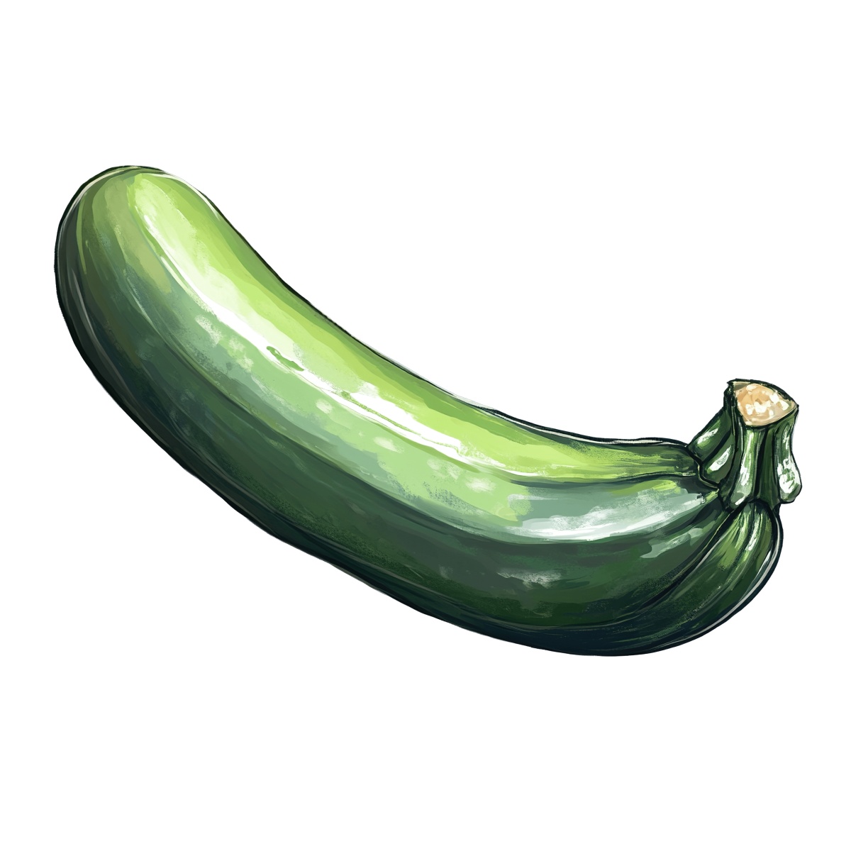 Green zucchini with a shiny surface in a clipart style