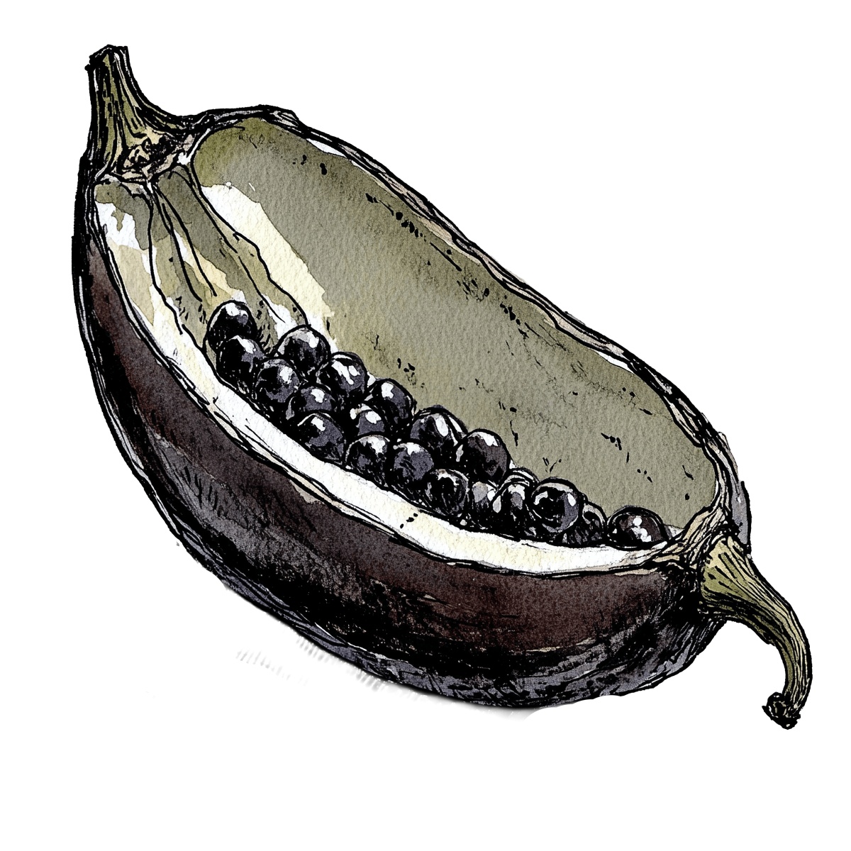 Opened passion fruit with visible dark seeds inside the shell.