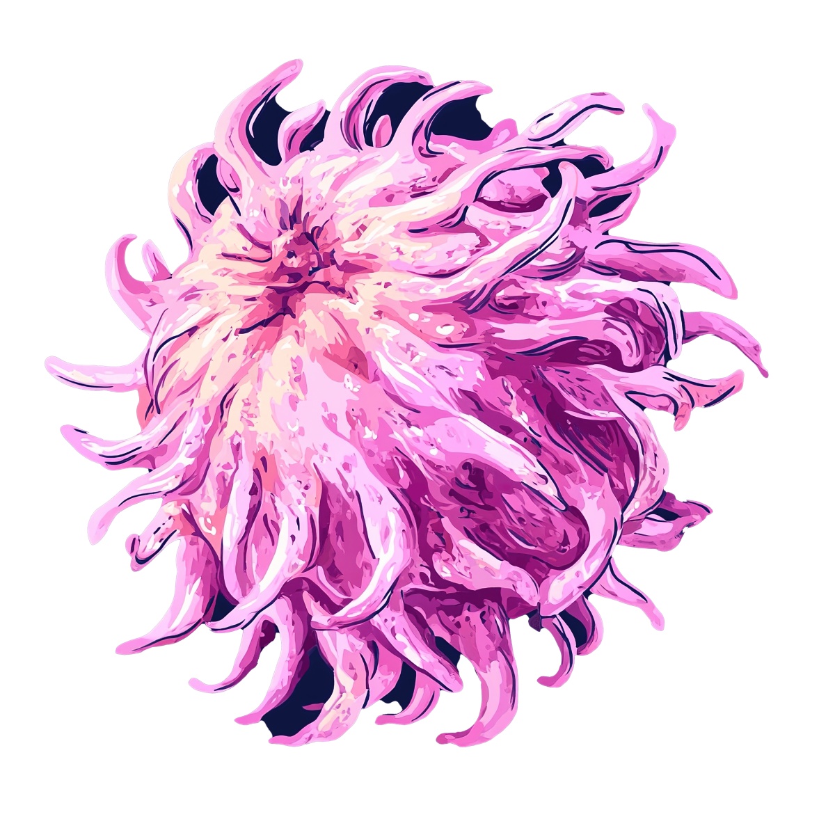 Pink sea anemone with flowing tentacles in a vector art style