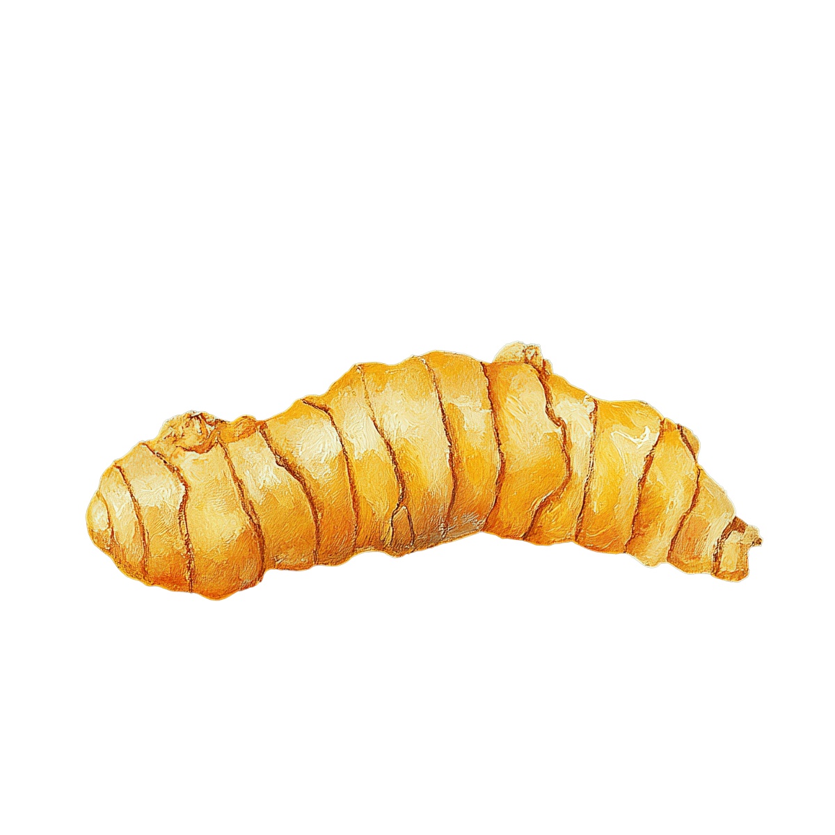 Realistic art of a turmeric root with detailed texture