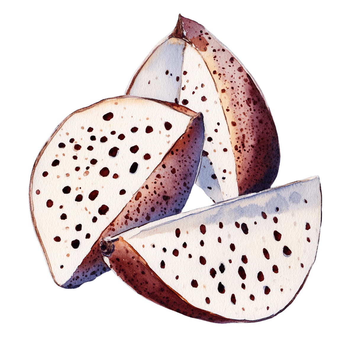 Sliced dragon fruit with speckled skin and white flesh.