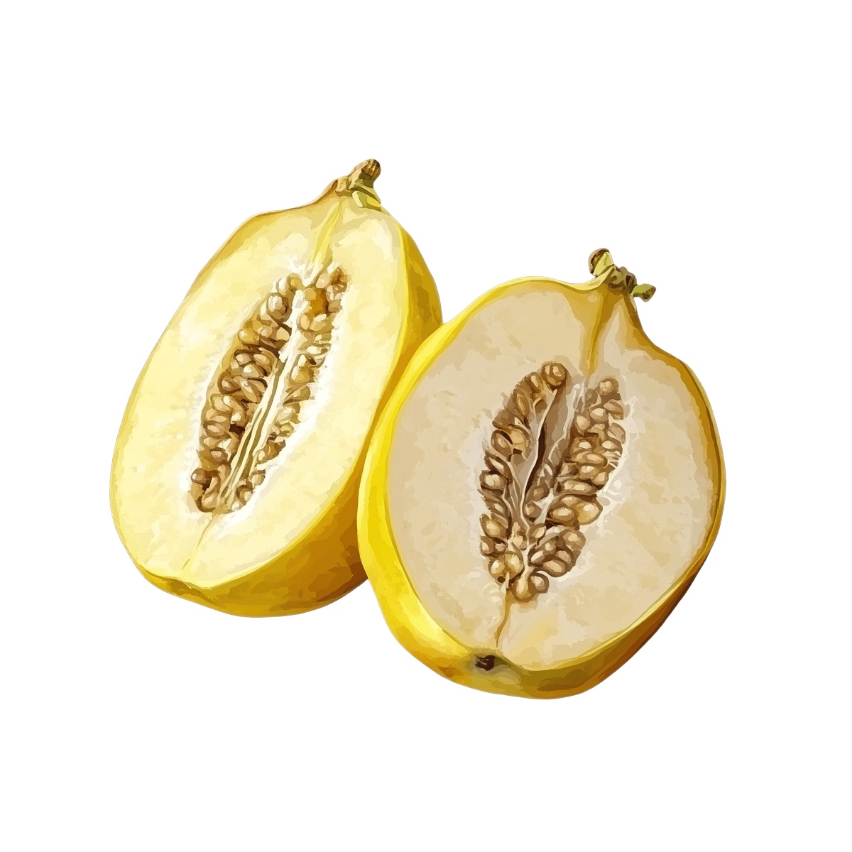 Yellow melon sliced in half showing seeds and juicy interior.