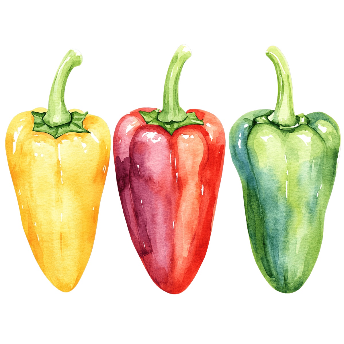 Three watercolor bell peppers in yellow, red, and green shades.