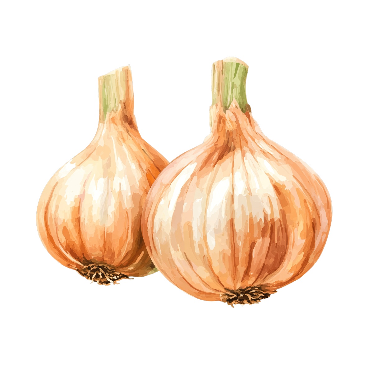 Two whole onions with brown skins and green tops.