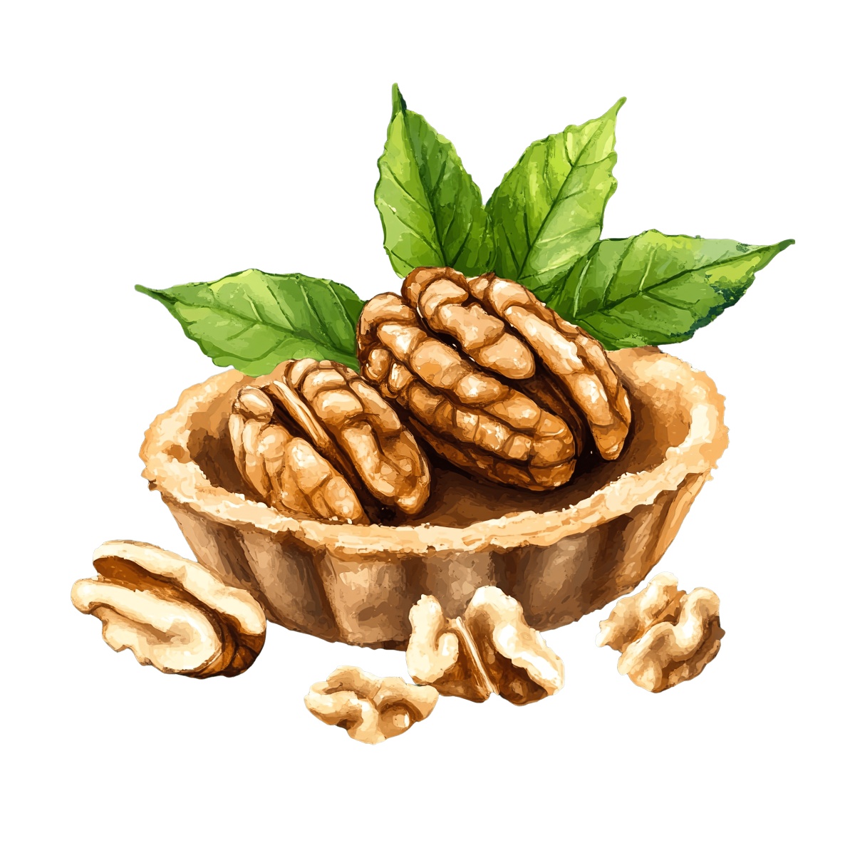 Walnut tart with whole walnuts and green leaves on top