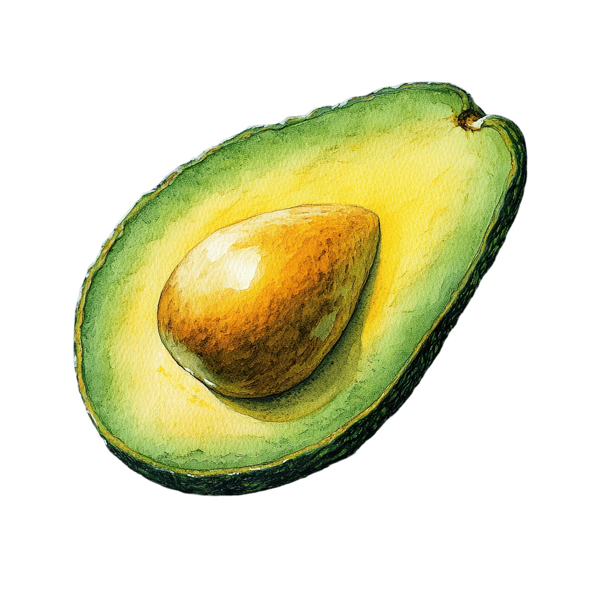 Watercolor art of an avocado half with seed and green flesh.