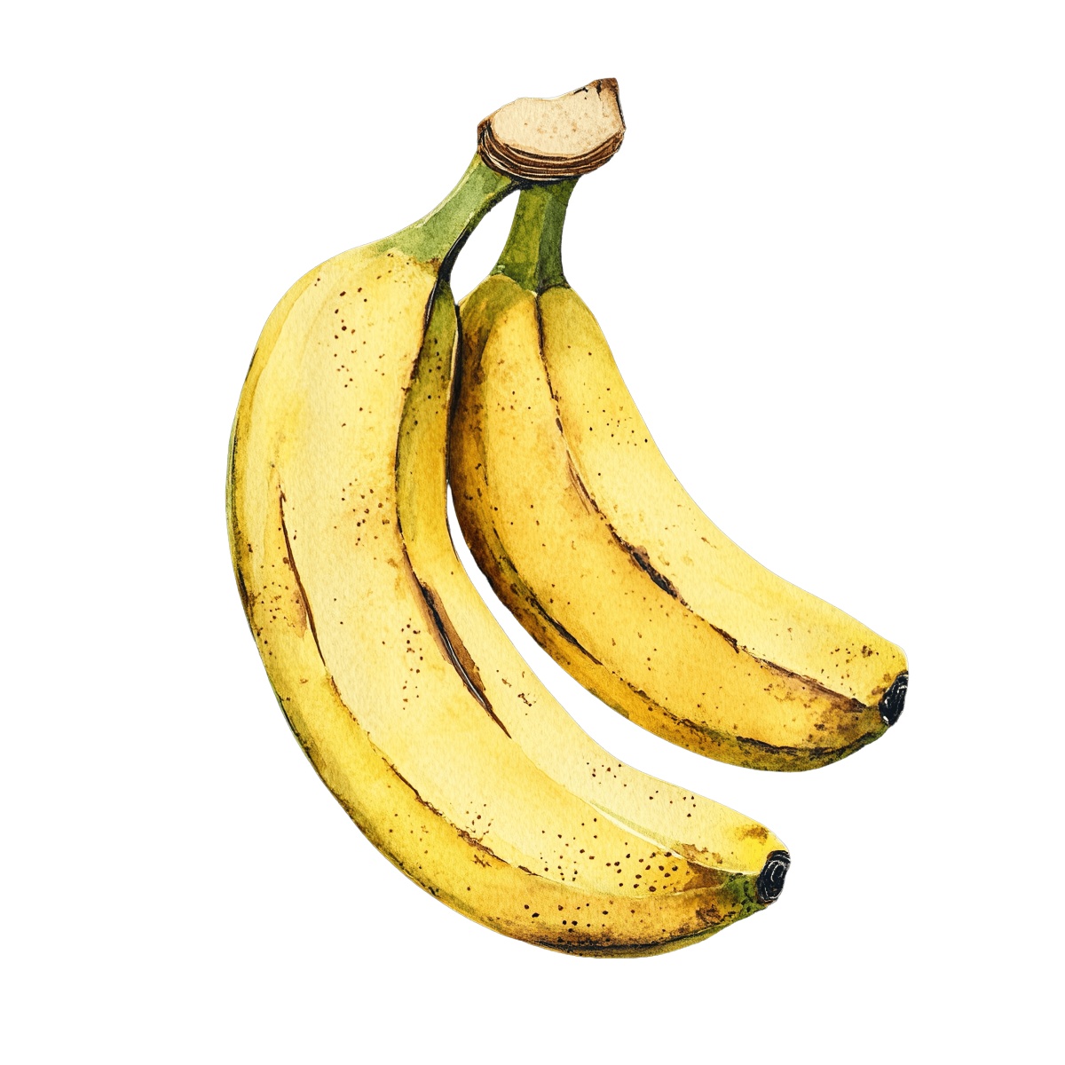 Watercolor bananas featuring green stems and yellow peels.