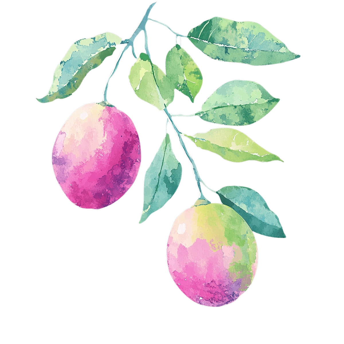 Watercolor branch with two pink and green fruits and leaves