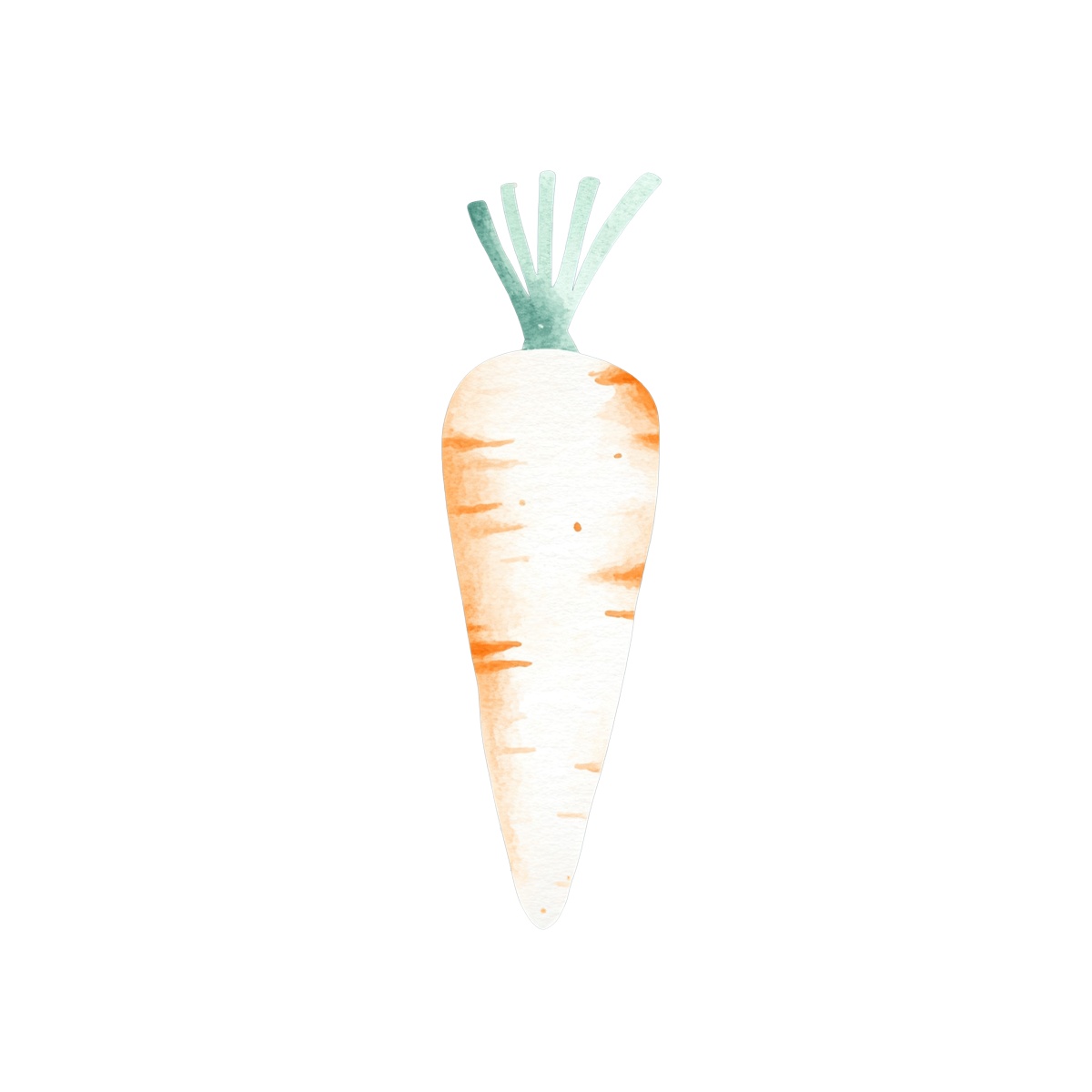 Watercolor carrot with green leaves on a