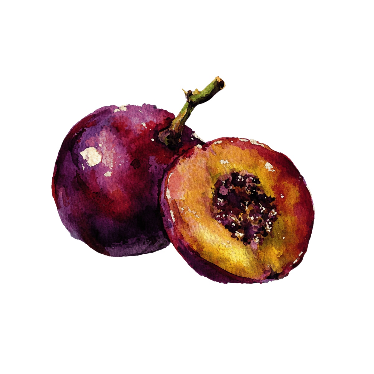 Watercolor art of whole and halved passion fruits with seeds visible.