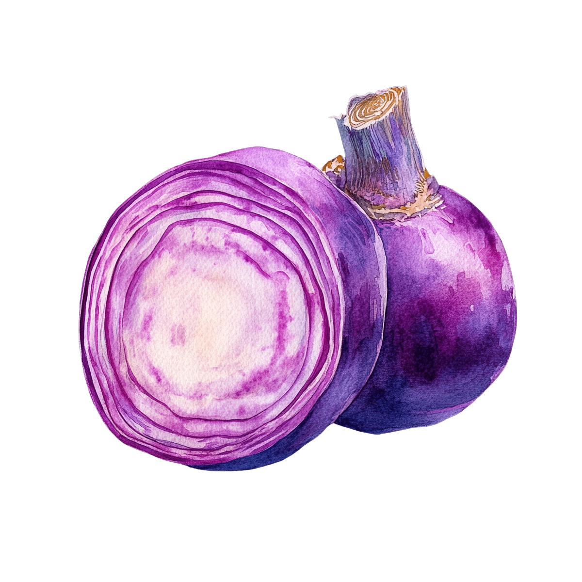 Watercolor art of a whole and sliced purple onion