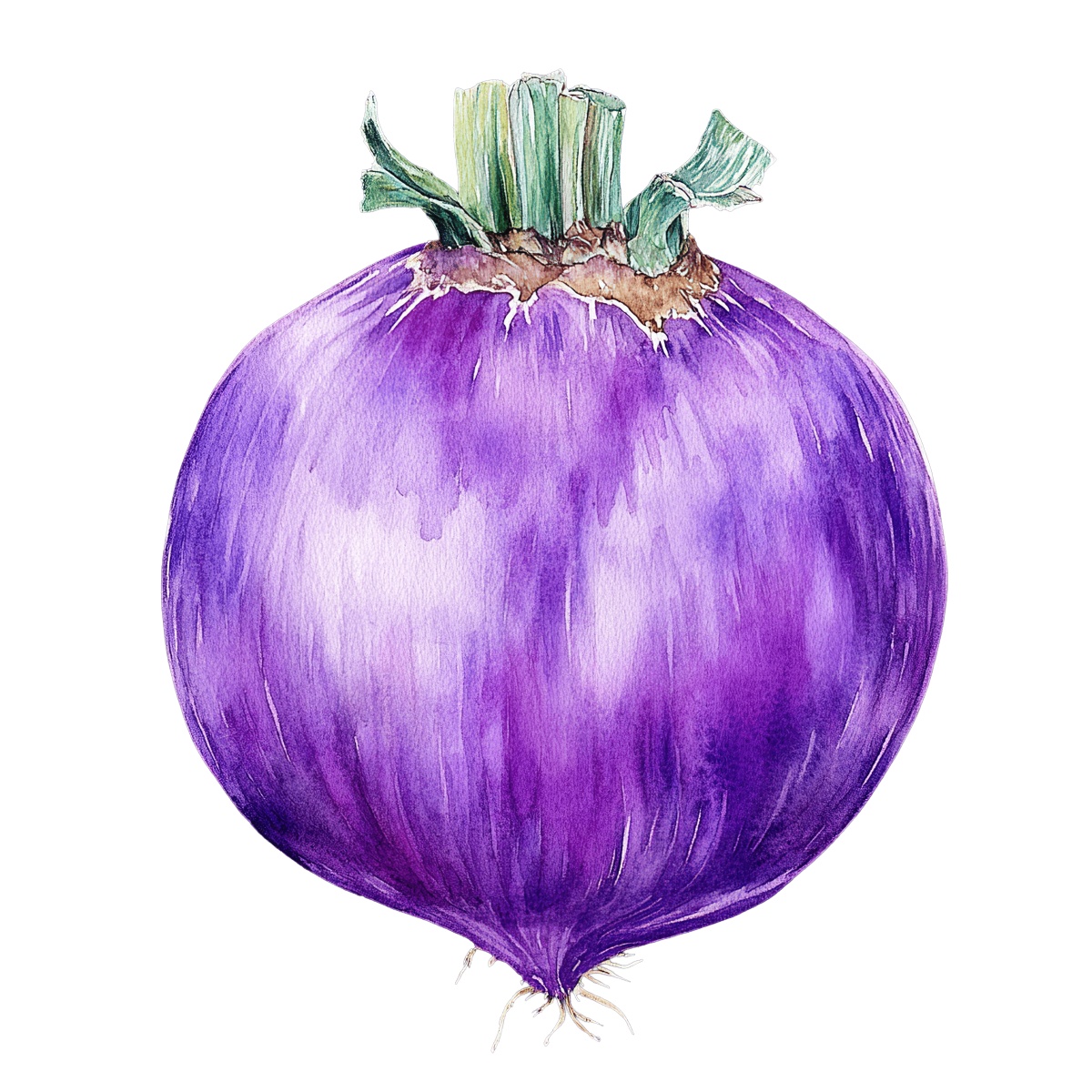 Watercolor art of a purple onion with a green stem.