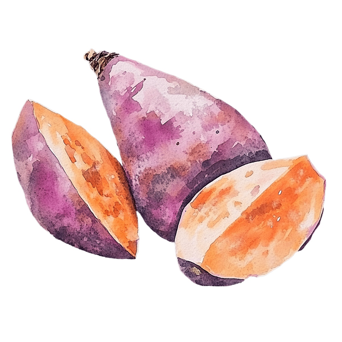 Watercolor depiction of whole and sliced purple sweet potatoes.