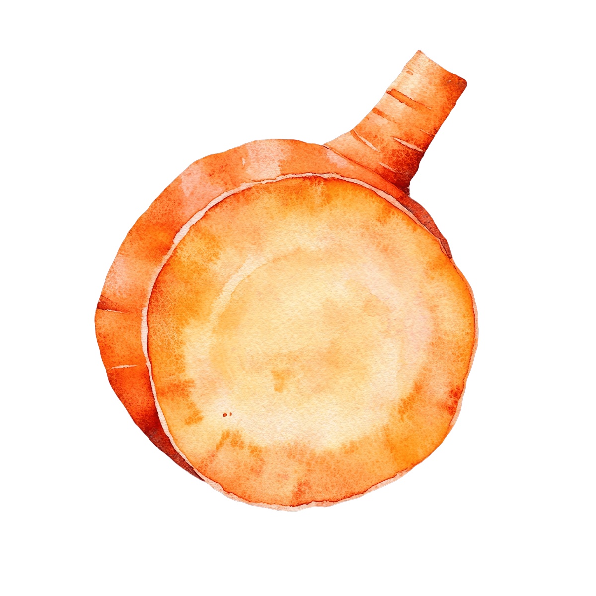 Watercolor art of a circular orange carrot slice