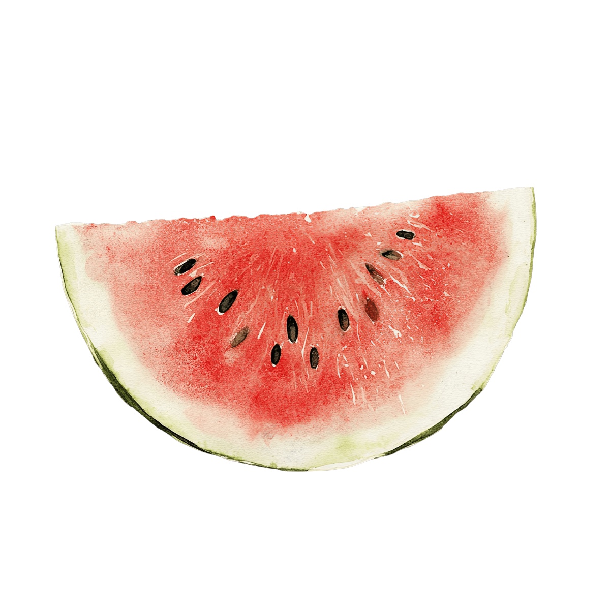 Watercolor art of a red watermelon slice with seeds