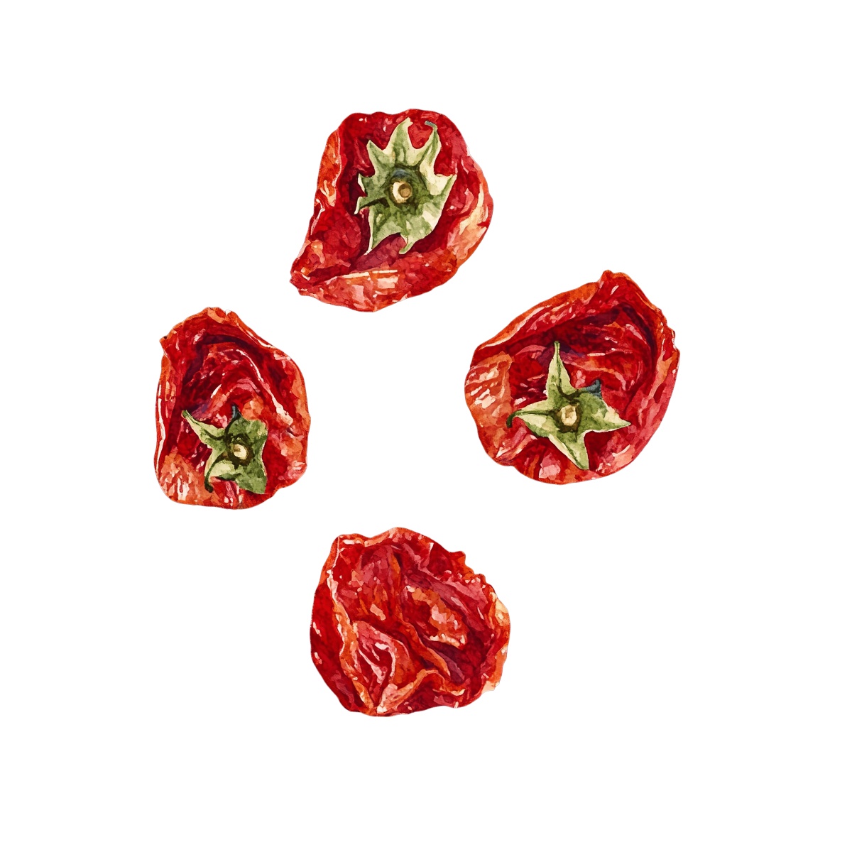 Watercolor depiction of sun-dried tomatoes with green stems.
