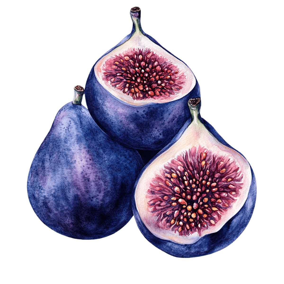 Watercolor art of whole and halved figs with detailed interior texture