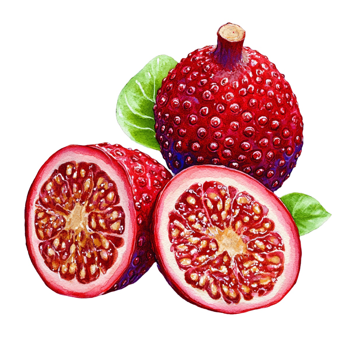 Whole and sliced red gac fruit with green leaves.