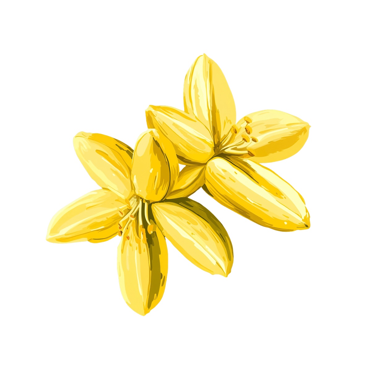 Yellow lily flowers with detailed petals and vibrant color.