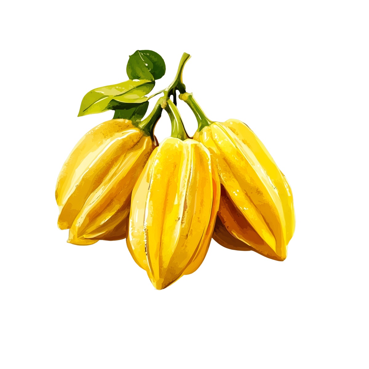 Yellow starfruit cluster with green leaves in a clipart style.